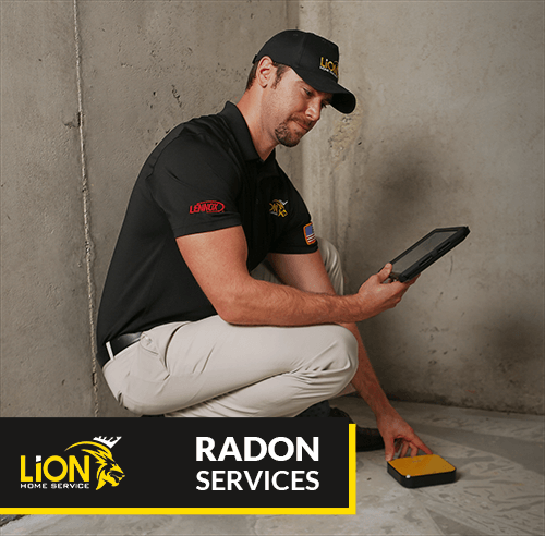 Lion Home Service Radon Services