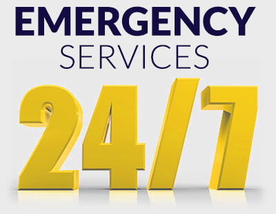Lion Home Service 24-7 Emergency Services