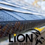 Lion Home Service Roofin