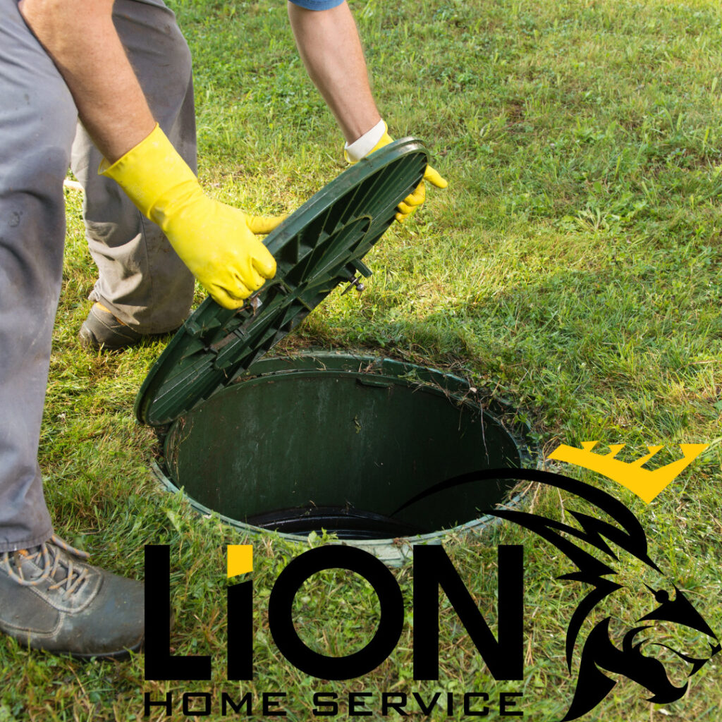 Above Ground Septic Tanks Everything You Need to Know Lion Home Service