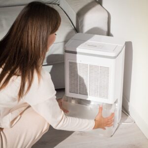 air purifier/humidifier