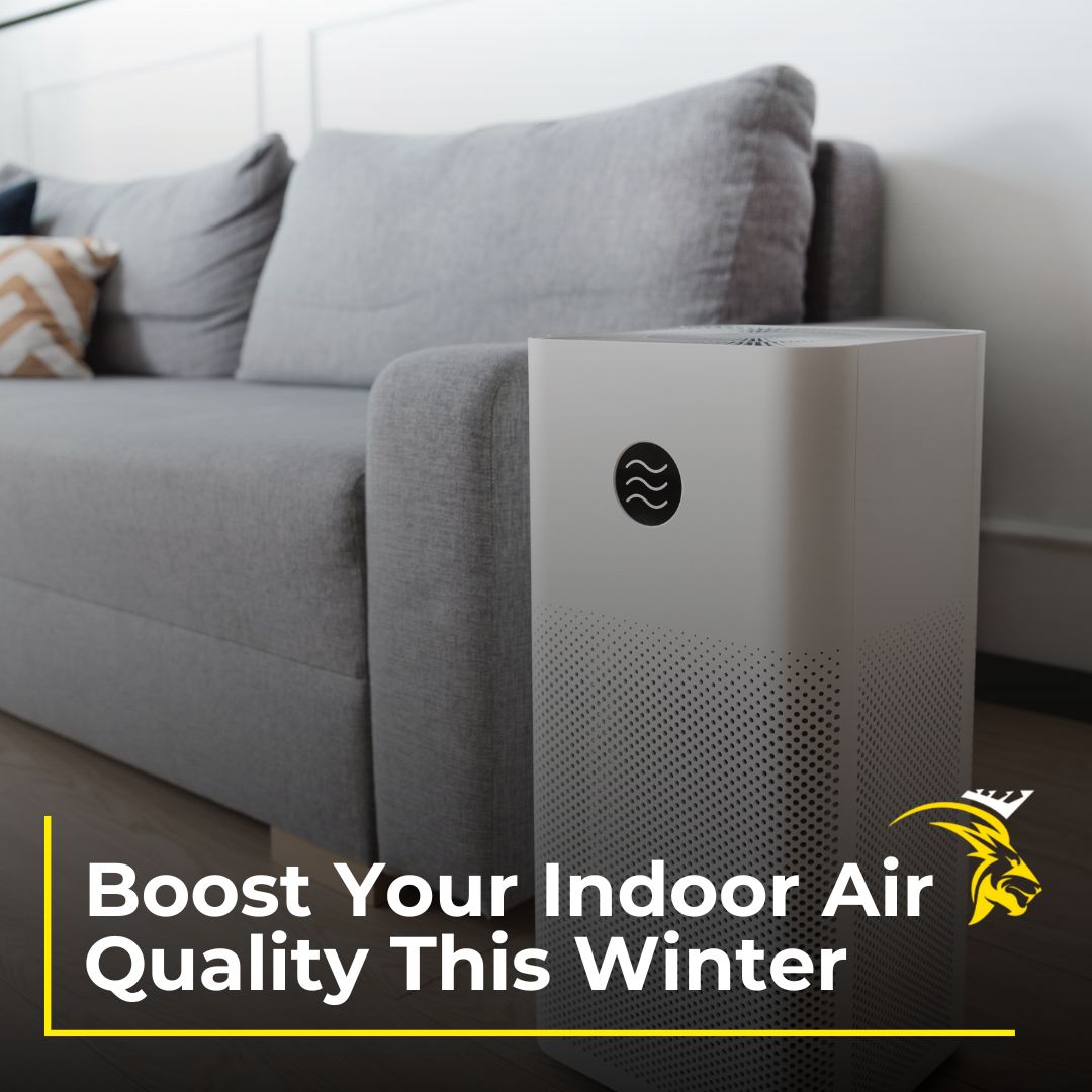 Indoor Air Quality - Air Quality Services And Inspections